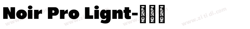 Noir Pro Lignt字体转换